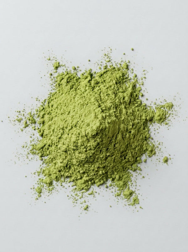 Green Tea Extract