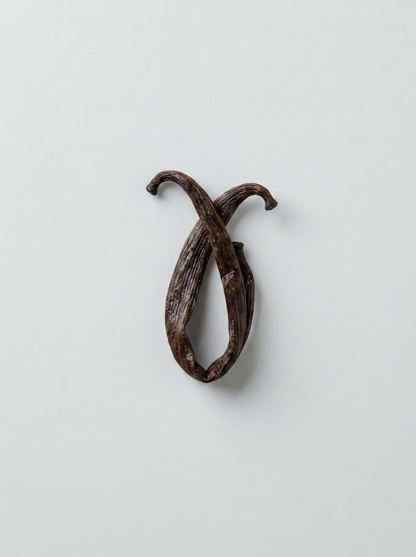Vanilla Bean